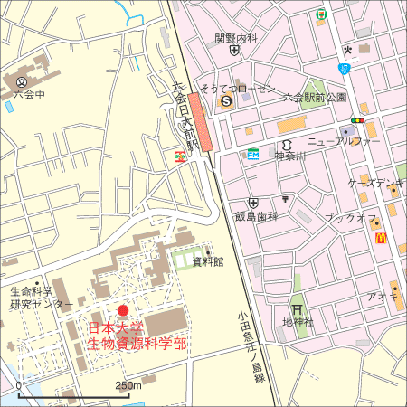 日本大学 生物資源科学部 湘南校舎 大学受験予備校 駿台予備学校