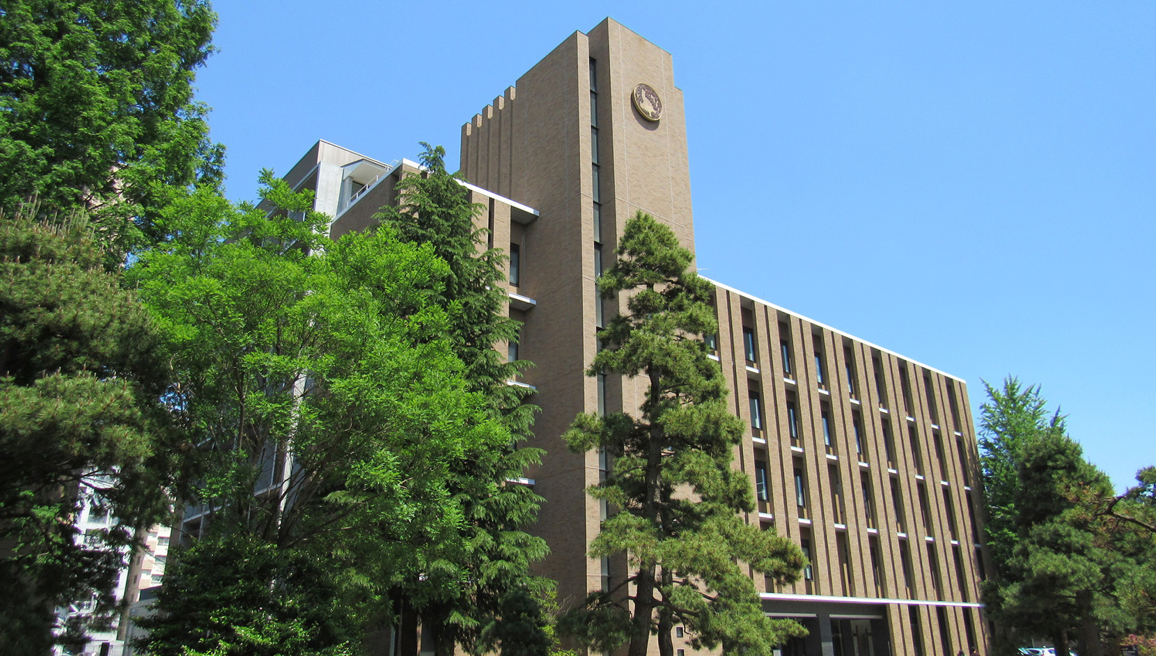 東北大学 | 大学一覧｜大学受験予備校／学習塾の駿台